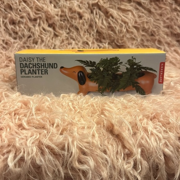 Daisy The Dachshund, Planter, Made in USA by Kikkerland - Picture 1 of 5